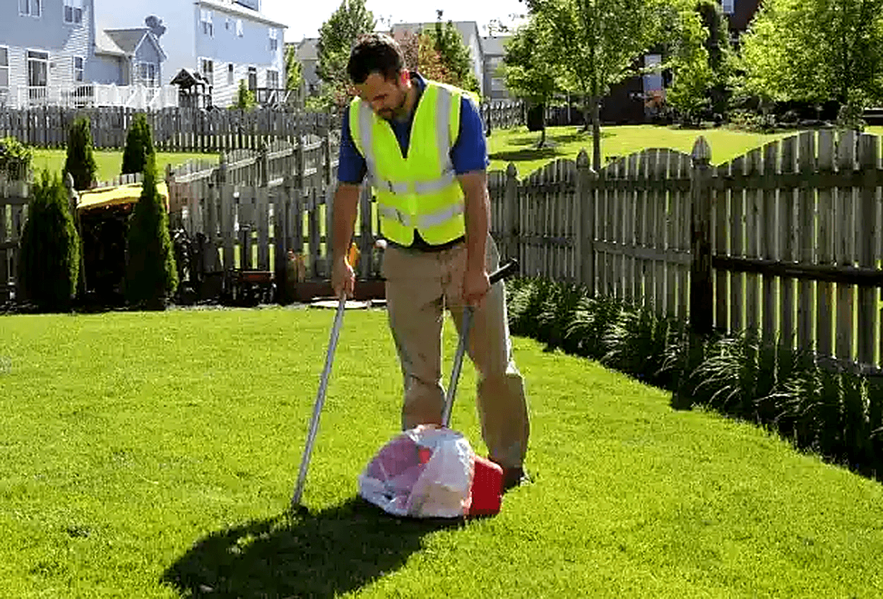 A professional in a safety vest raking and scooping dog waste in a backyard